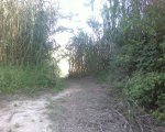 Foto0043.jpg