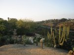 IMG_5357Small.jpg