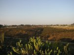IMG_5358Small.jpg