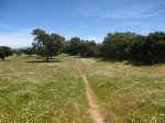 IMG_3147.jpg