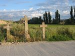 IMG_3177.jpg