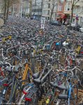 bikes.jpg
