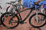 mi bici.jpg