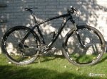 202566-on-one-lurcher-29er.jpg