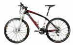 bici_grande.jpg