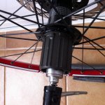 fotos iphone 005.jpg