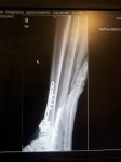 20131030_192801.jpg