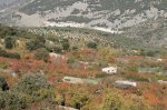 DSC01511.JPG