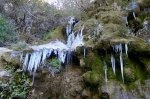 DSC01603.JPG