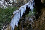 DSC01606.JPG