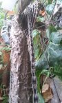 2013-12-01 11.55.27.JPG