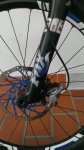 IMAG0472.jpg