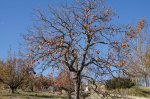 DSC01519.JPG