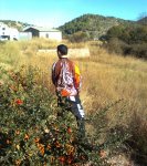 Imagen2705.jpg