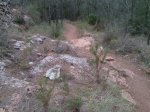 IMG-20131201-WA0012.jpg