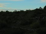 IMG_3880.JPG