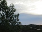 IMG_3881.JPG