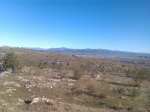 IMAG1043.jpg