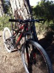 bici.jpeg