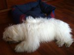 IMG_0391.JPG