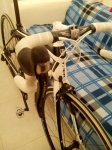 IMG_20131203_001252.jpg