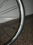 DSCN3484.jpg