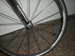 DSCN3485.jpg