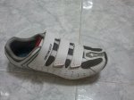 IMG_20131102_221503.jpg