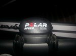 Polar 3.jpg