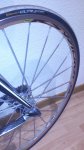 rueda1.jpg