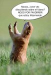 Marmota.jpg