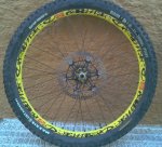 2013-11-06 10.01.52-1.jpg