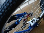 DSC05346.JPG