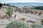 peloton_nears_Palomar_KOM.jpg