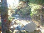 Foto21.JPG