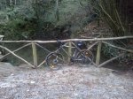 2013-12-06 11.30.37.jpg