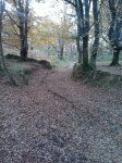 2013-12-06 12.10.03.jpg