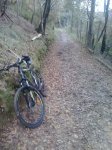 2013-12-06 10.58.23.jpg
