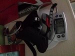 20130718_124406.jpg