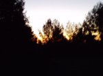 P061213_07.35.jpg
