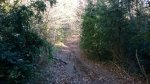 WP_20131207_013.jpg