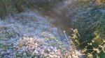 WP_20131207_014.jpg