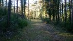 WP_20131207_015.jpg