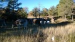 WP_20131207_008.jpg