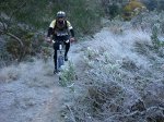 IMG_1511_1024x768.jpg