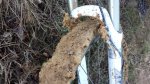 20131206_163504.jpg