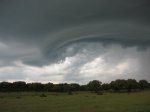 IMG_3289.jpg