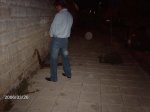 y1pRcJ9UzK-NxYYTVZkbU2xMckVcL4Y2KOfeqDX5DIIi3oaDJ2rItBwtf8-XZ_cKOWf_6hS1EQ88hBCy0GV-vRQ7w.jpg