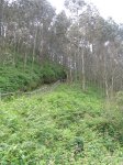 Imagen 020.jpg