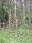 Imagen 021.jpg